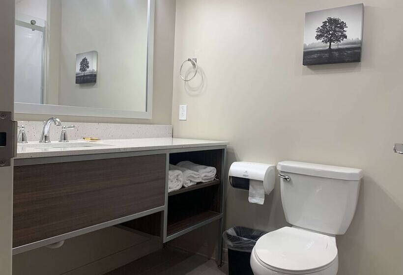 Люкс Адаптированный для Инвалидов, Best Western Plus Horseheads Inn & Suites