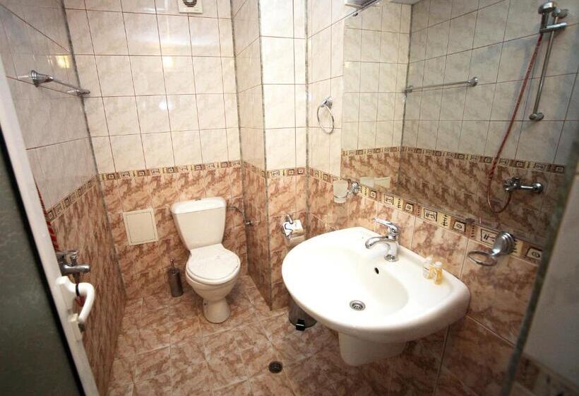 Номер Стандарт Индивидуальный, Family Hotel Bansko Sofia