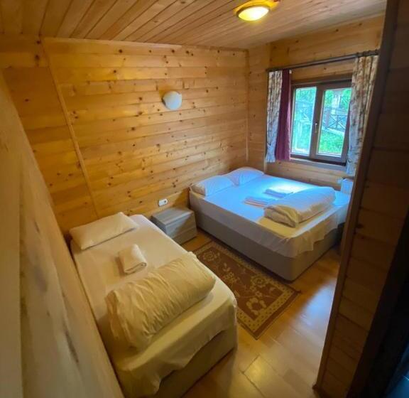 استودیو خانوادگی, Ayder Paradise Otel
