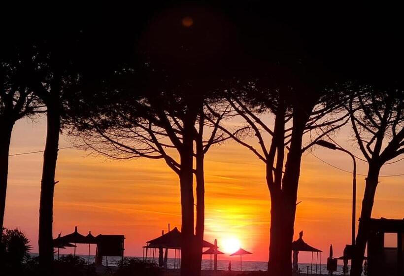 Apartamento 1 Dormitório com Vistas, Residence La Pineta