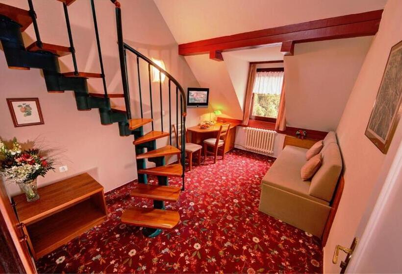 اتاق استاندارد, Park Hotel Pruhonice