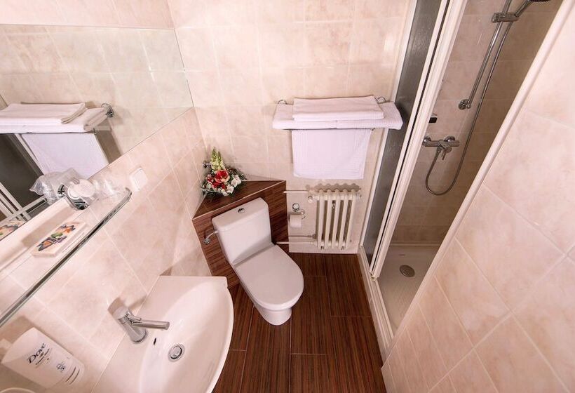 اتاق استاندارد, Park Hotel Pruhonice