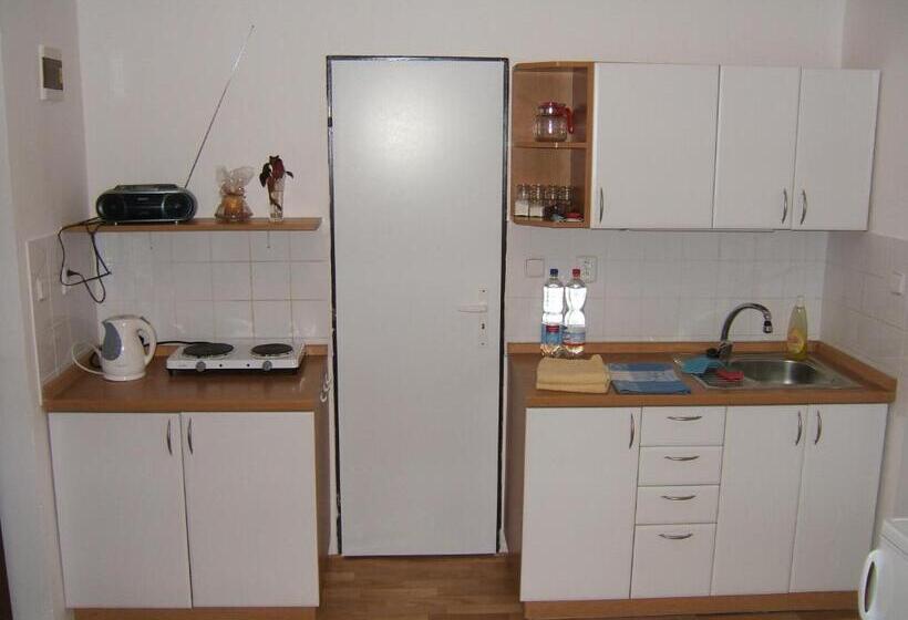 آپارتمان 1 خوابه, Penzion V Roklich & Apartmens V Roklich