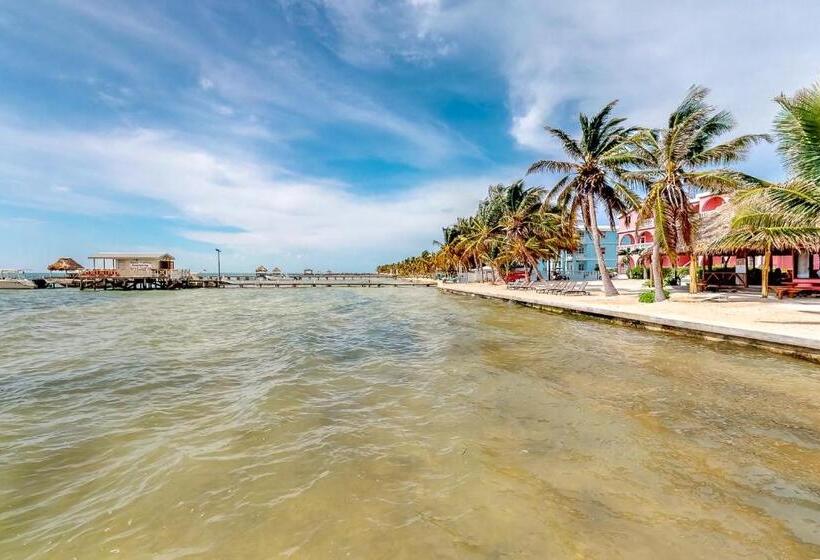 آپارتمان 3 خوابه, Palm @ Caribe Island