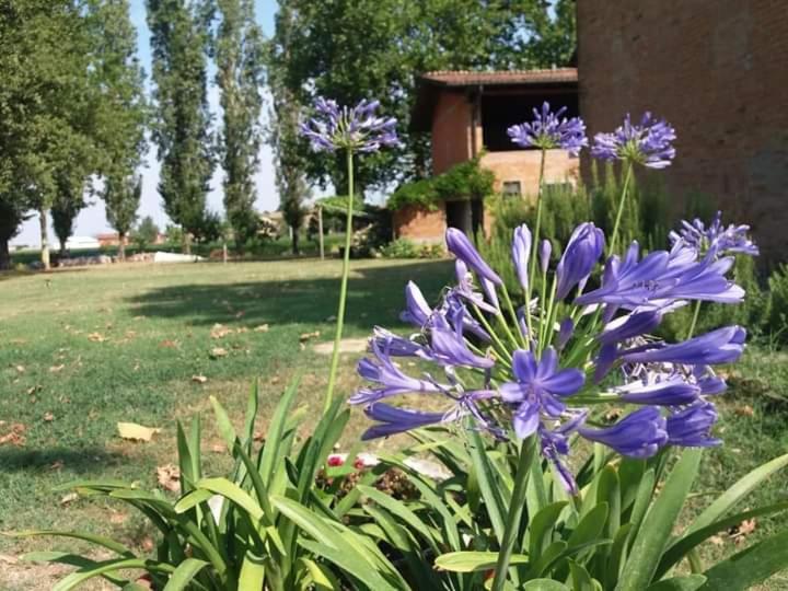标准三人间, B&b Il Naviglio