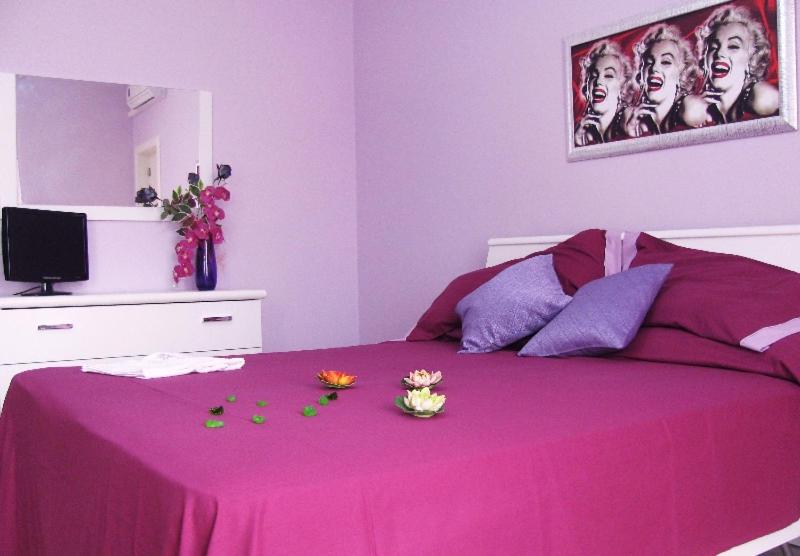 디럭스 룸, Ibiscus B&b