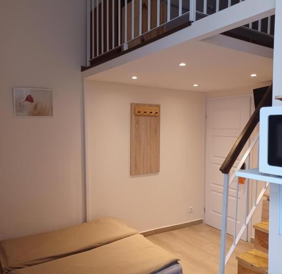 经济房, Loft House Budapest