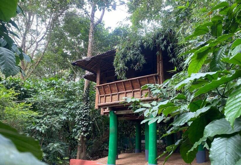 패밀리 룸, Trekking Trails Eco Stay