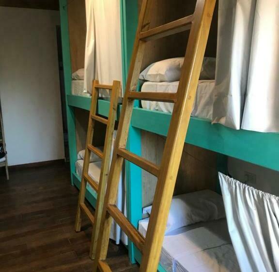 Cama em Quarto Compartilhado, Bitelyus Hostel Club