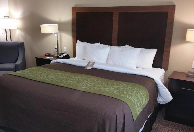 Стандартный Номер Кровать Кинг, Comfort Inn & Suites Lakeside