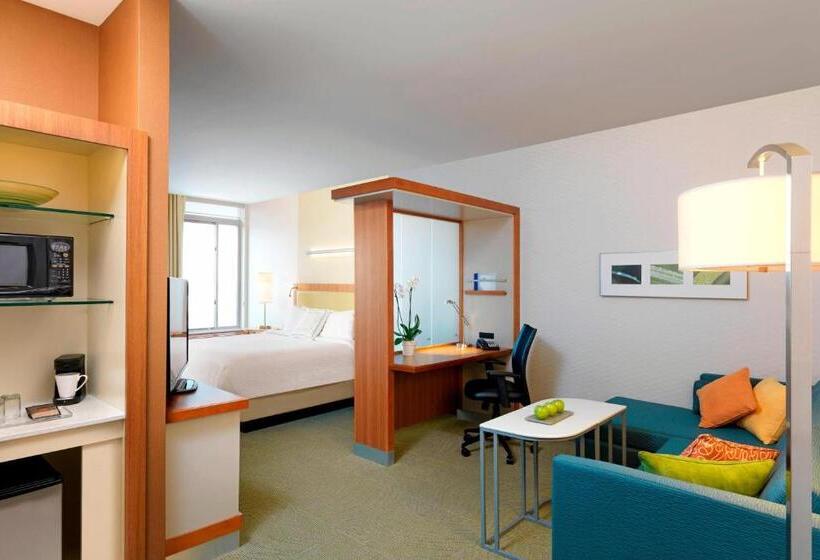סטודיו סטנדרט, מיטה זוגית, Springhill Suites By Marriott Houston I 45 North