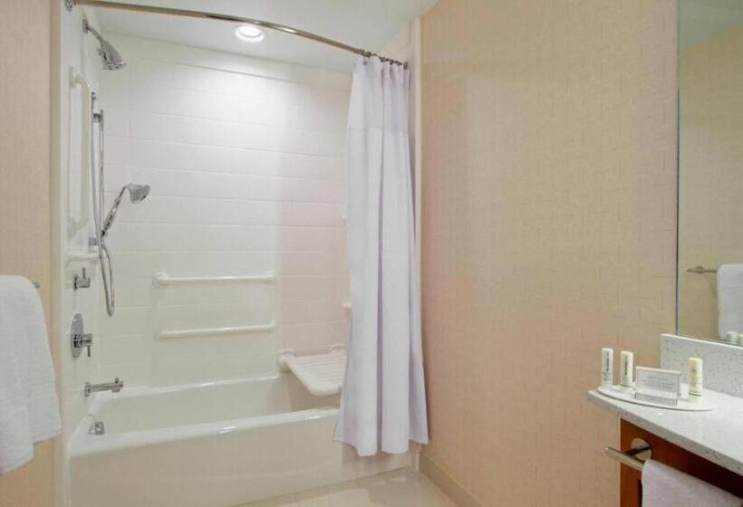 חדר סטודיו סטנדרד, Springhill Suites By Marriott Houston I 45 North