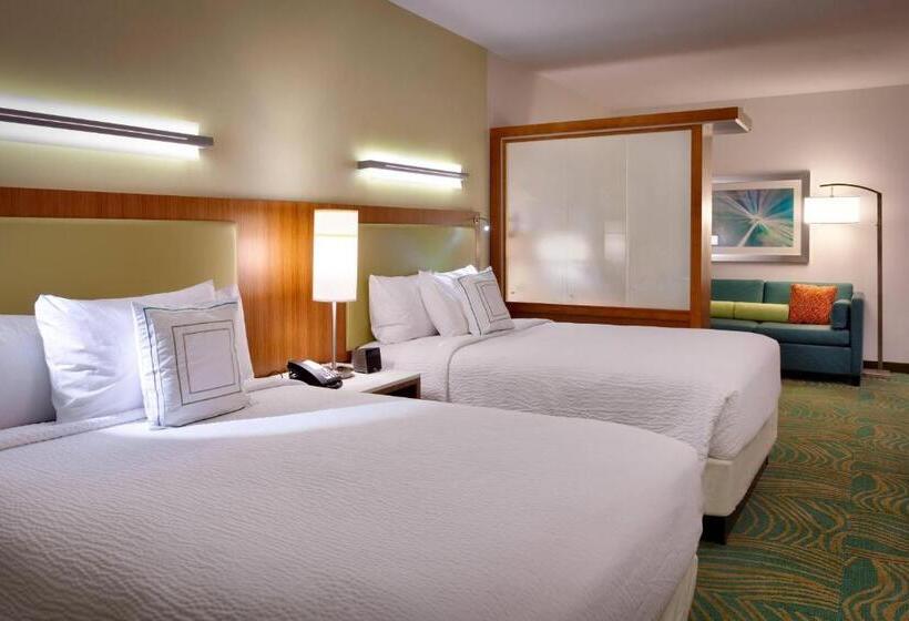 חדר סטודיו סטנדרד, Springhill Suites By Marriott Houston I 45 North
