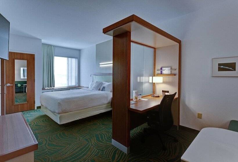 Люкс, Springhill Suites By Marriott Wichita Airport