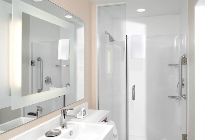 Люкс, Springhill Suites By Marriott Wichita Airport