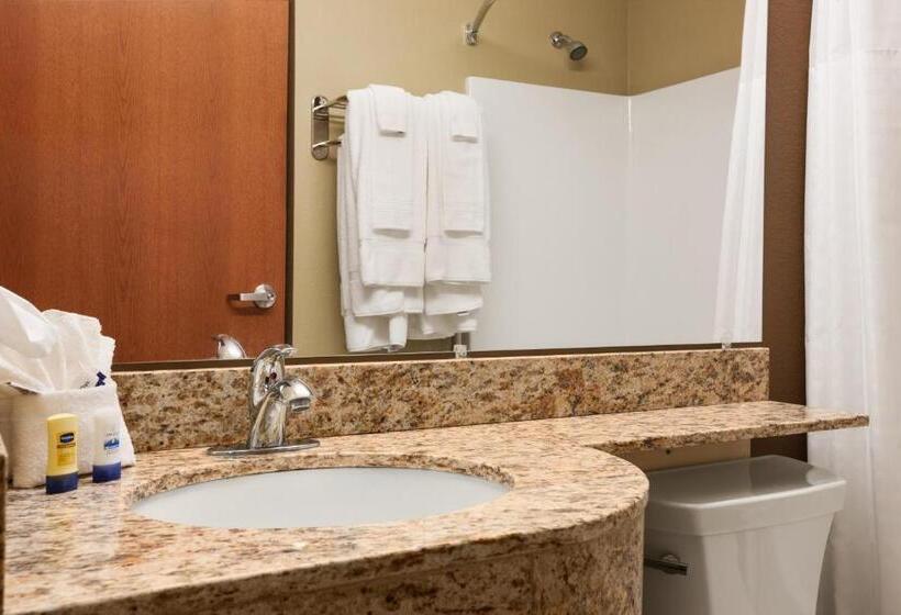 Люкс, Microtel Inn & Suites By Wyndham Kenedy/karnes City