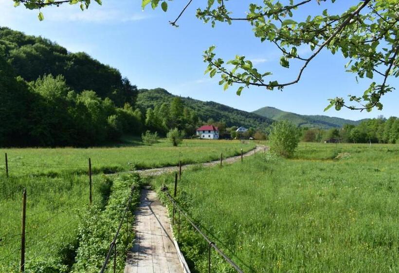 Люкс Вид на Горы, готель довбуш