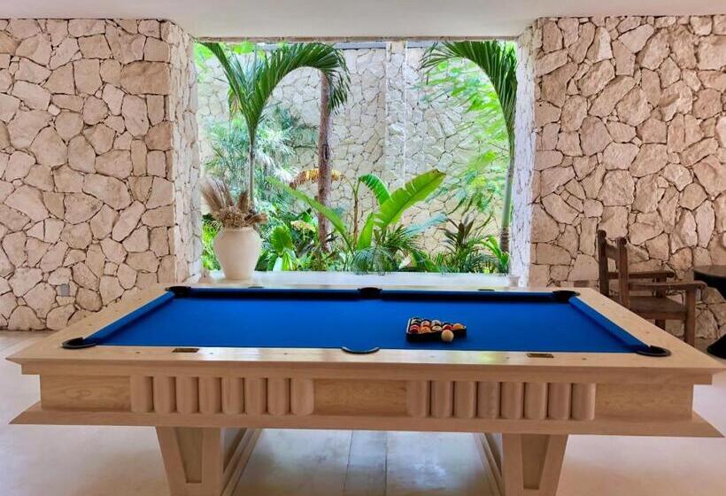 スーペリアスタジオ, Nãmas Tulum