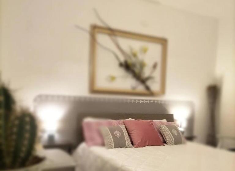 Номер Стандарт, B&b Shardana