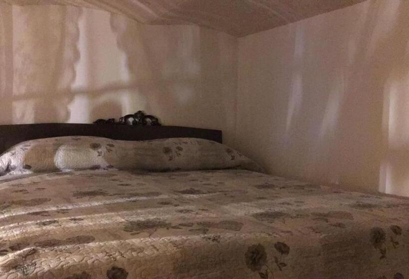 Студия Стандарт, B&b Shardana
