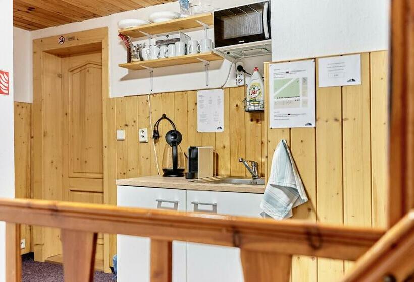 Номер Стандарт Трехместный, Pension Barborka