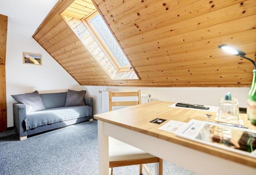Номер Стандарт, Pension Barborka