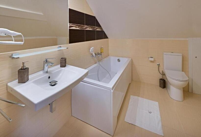 Quarto Estandar, Zámek Wichterle   Hotel A Pivní Lázně