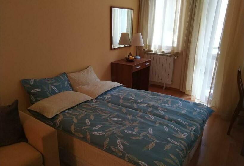 Estudio Estándar con Balcón, Studio Villa Park 207