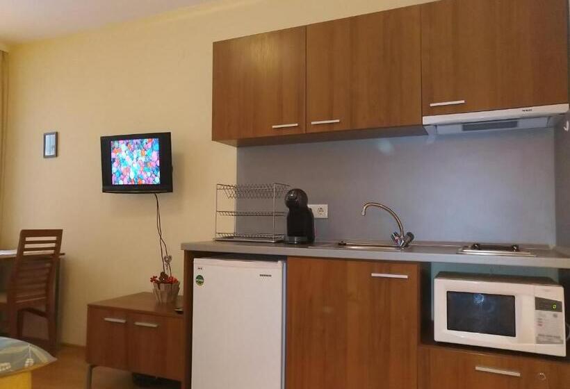 Estudio Estándar con Balcón, Studio Villa Park 207