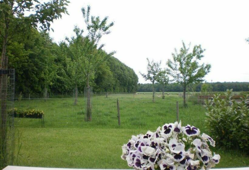 Номер Deluxe Вид на Сад, Pipowagen Lidewei Groningen Westerwolde Unieke Ligging Met Eigen Tuin En Vrij Uitzicht Over Veld Naa