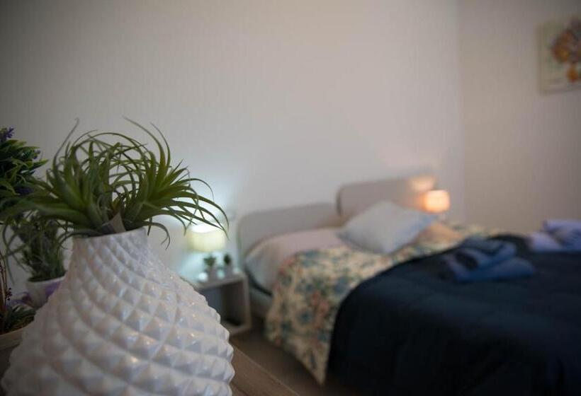 Номер Стандарт, B&b Xenia