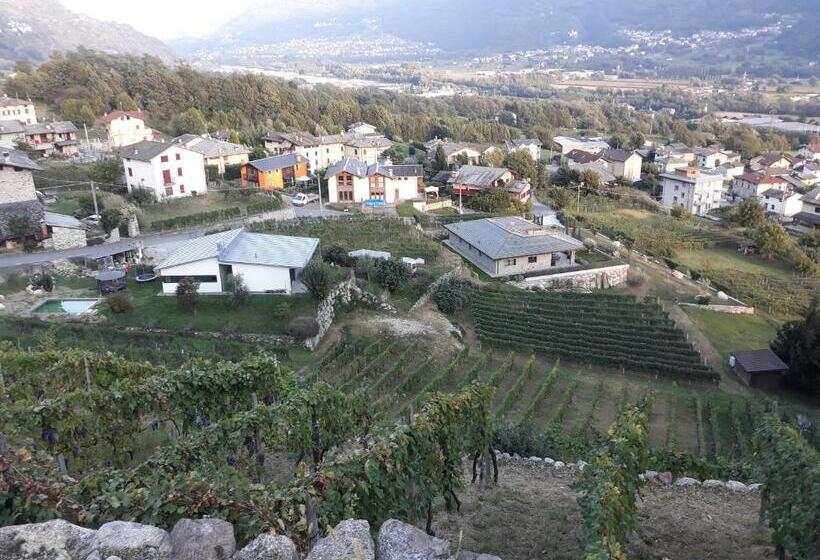 Семейный Номер, Il Vigneto