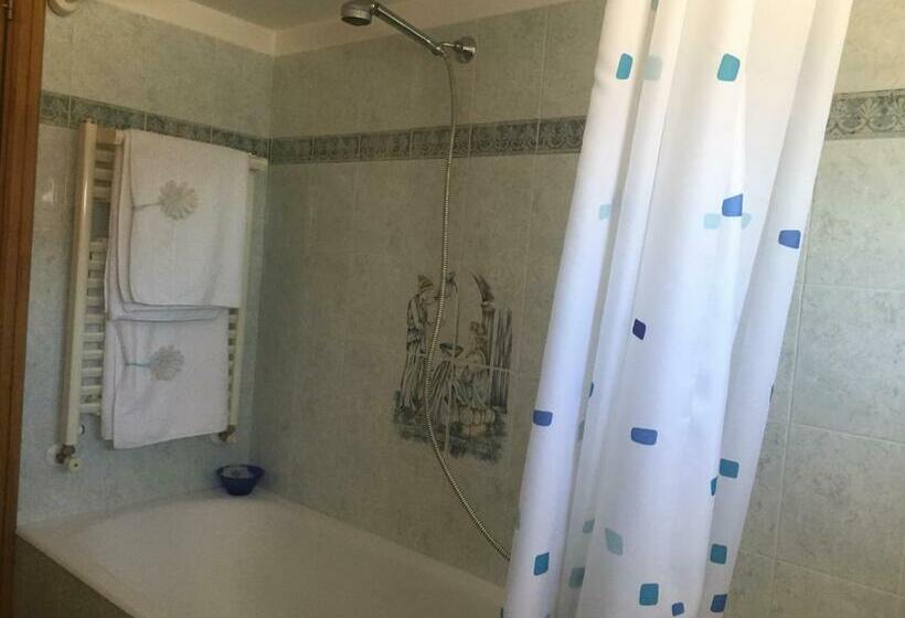 Студия Стандарт, B&b Oliva