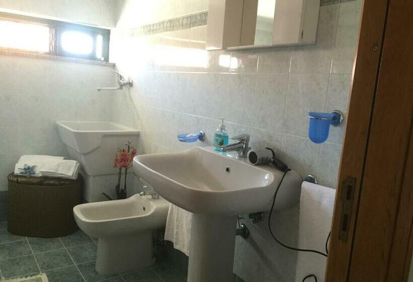 Студия Стандарт, B&b Oliva