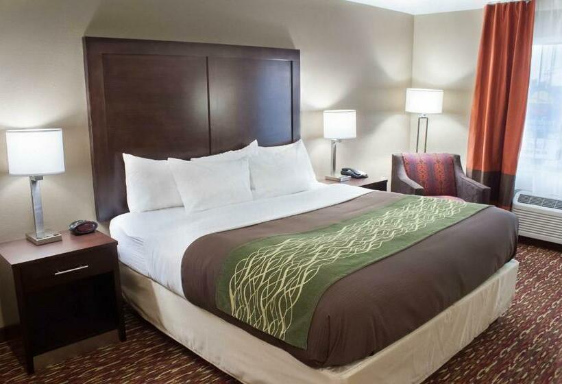 Стандартный Номер Кровать Кинг, Comfort Inn & Suites Artesia