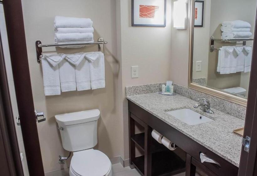 Номер Стандарт, Comfort Inn & Suites Artesia