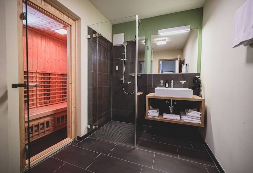 דירת חדר דלוקס, Priva Alpine Lodge Lenzerheide