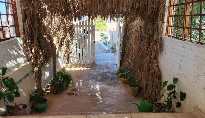 اتاق استاندارد یک نفره با چشم‌انداز دریا, Rayhana Guest House
