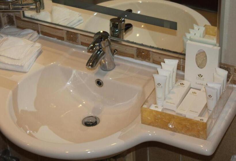 اتاق لوکس با چشم‌انداز شهر, Tolip Hotel Alexandria