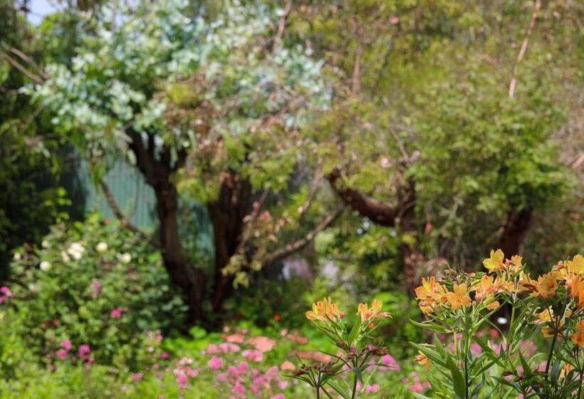 套房带园景, Daysy Hill Country Cottages