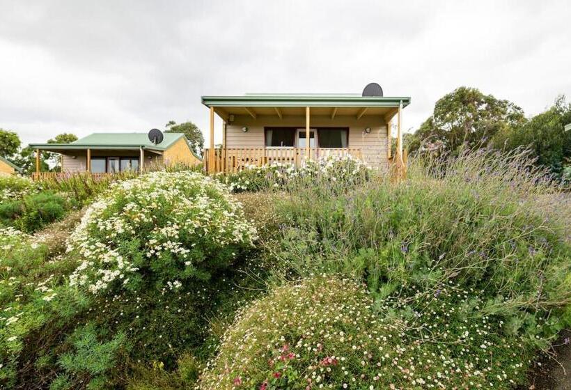 小室, Daysy Hill Country Cottages