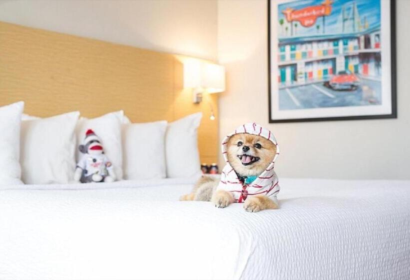 اتاق استاندارد, The Thunderbird Inn