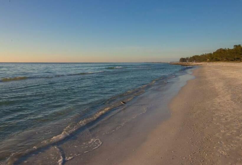 דירת שני חדרים, Beach View 5