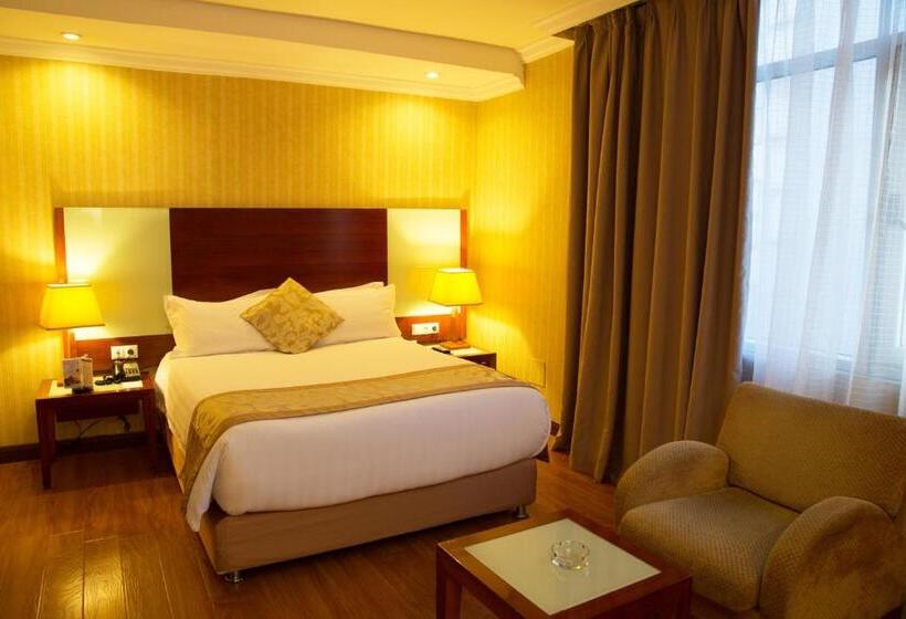 اتاق استاندارد یک نفره, Jupiter International Hotel   Bole