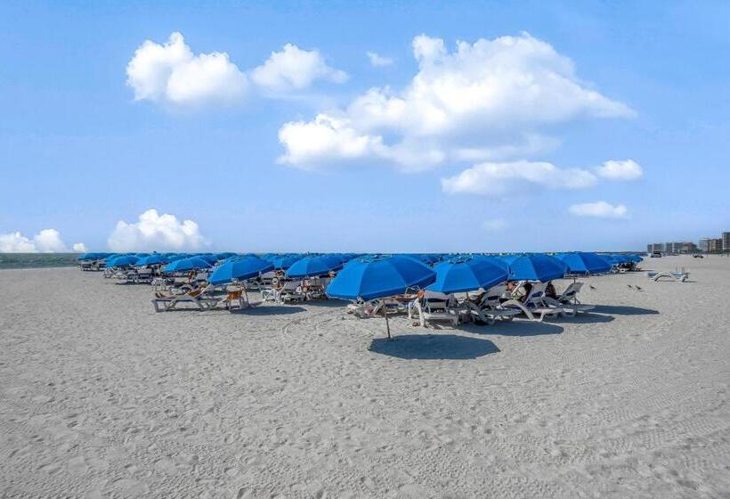 Апартаменты 1 Спальня, Marco Beach Ocean Resort 807