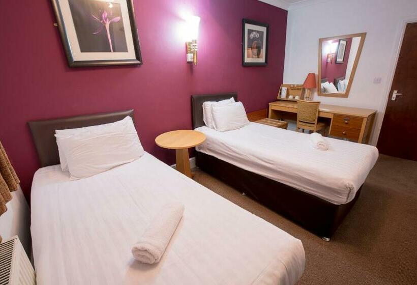 Quarto Estandar, Citybest