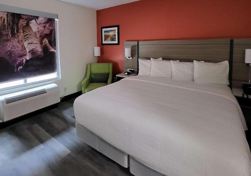 适合残疾人士使用的带超级大床的标准间, Best Western Plus Executive Residency Carlsbad