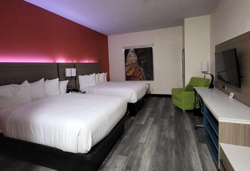 标准间, Best Western Plus Executive Residency Carlsbad