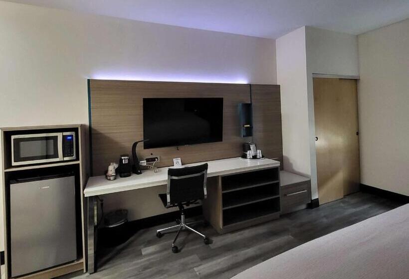 适合残疾人士使用的带超级大床的标准间, Best Western Plus Executive Residency Carlsbad