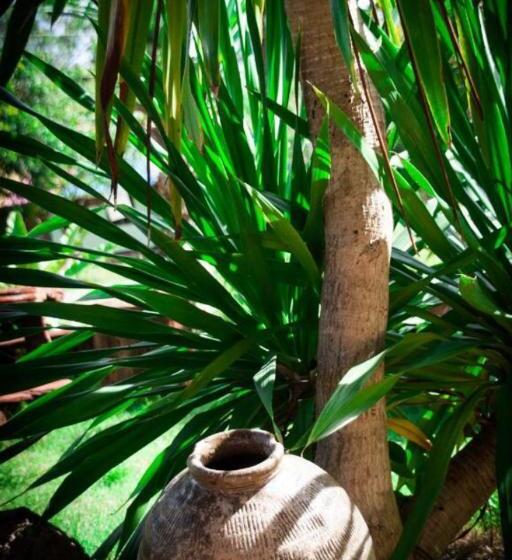 غرفة قياسية, The Lazy Bar And Guesthouse